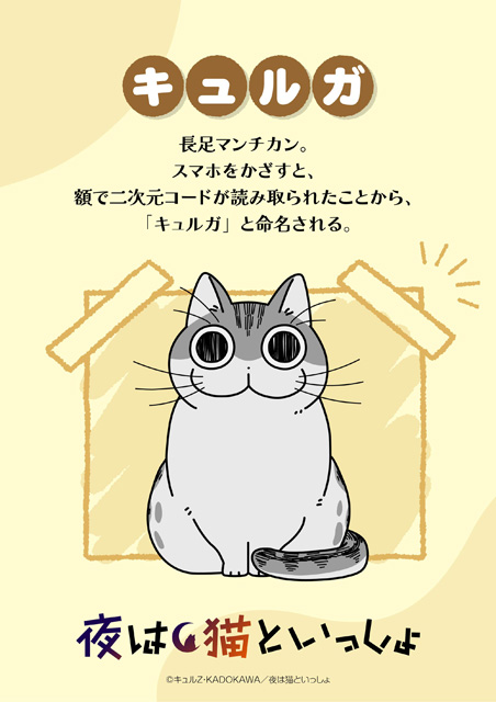 夜は猫といっしょ