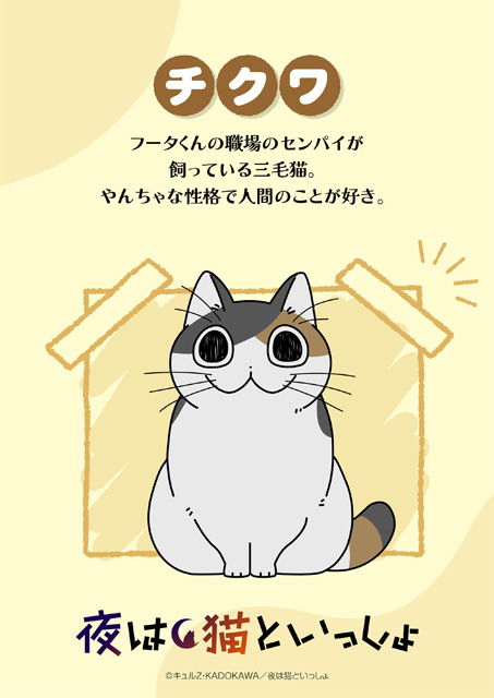 夜は猫といっしょ