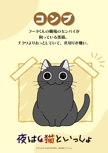 夜は猫といっしょ